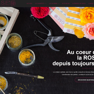 Conception et développement web pour Les Rosiers Orard